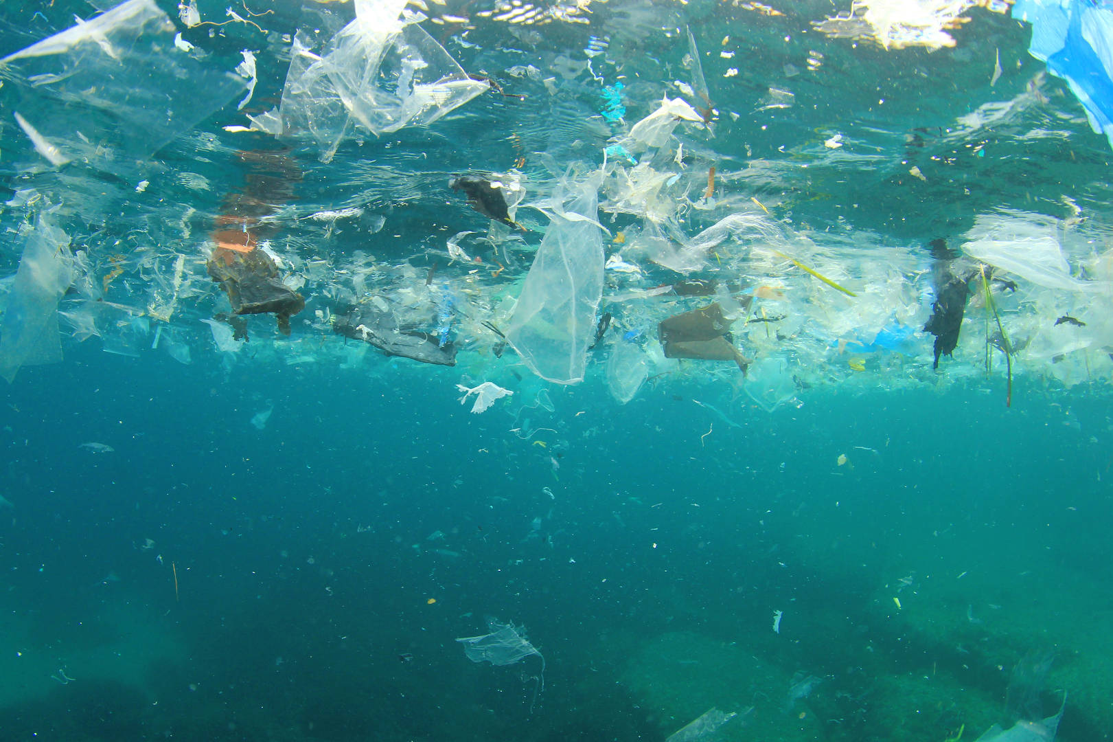 Photo de déchets plastiques sous la surface de l'océan